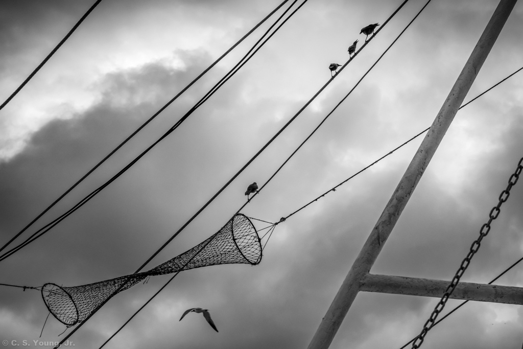 Calabash Shrimp Boat Rigging