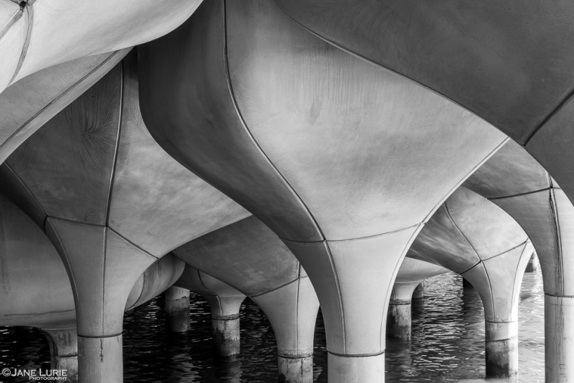 Little Island, New York City, Jane Lurie, Photograpy, Black and White