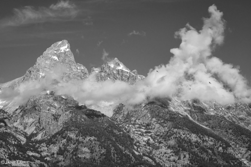 Grand Teton, Monochrome, Black and White Photography, National Park, Jane Lurie, Monochromia