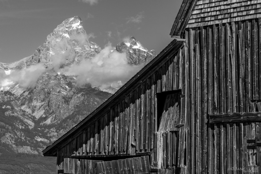Grand Teton, Monochrome, Black and White Photography, National Park, Jane Lurie, Monochromia