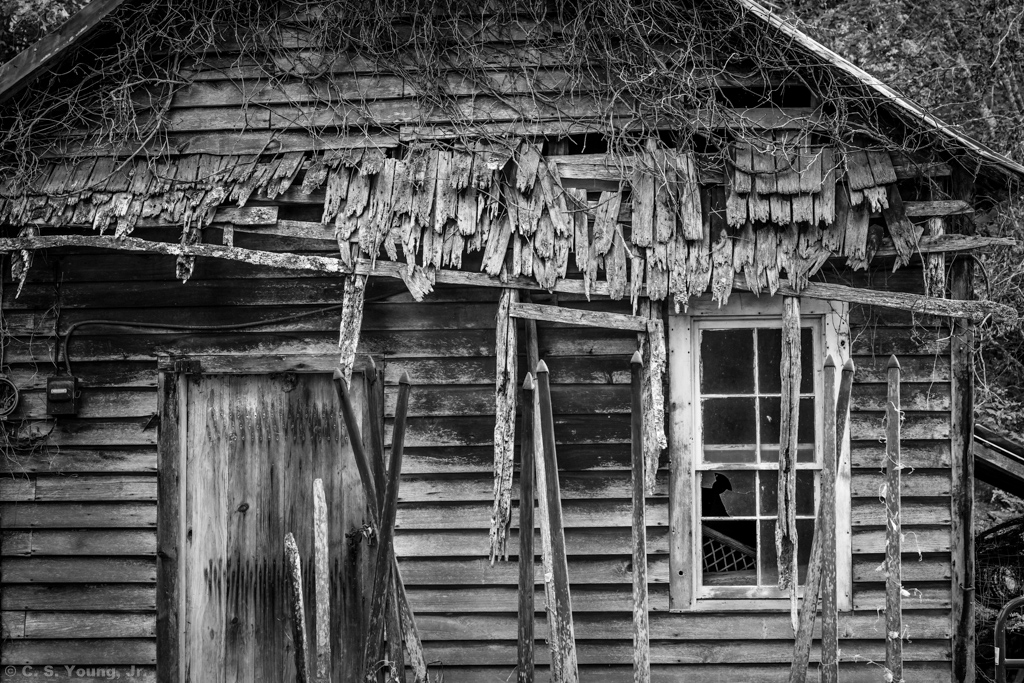 Abandoned Shed on Shelter Baptist Church Rd