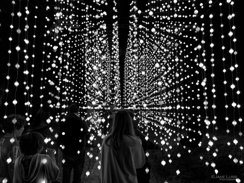 Pasadena, Photography, Black and White, Monochrome, Jane Lurie