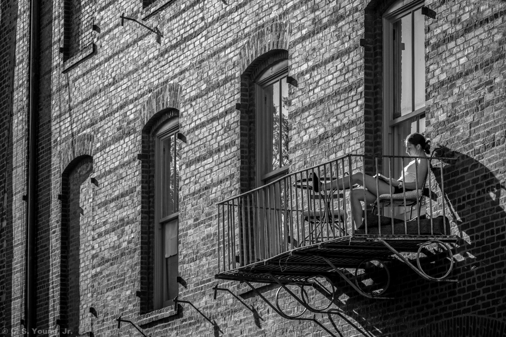 W Broughton Ln, Savannah Composition 1