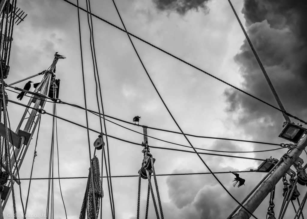 Calabash Shrimp Boat Rigging 2