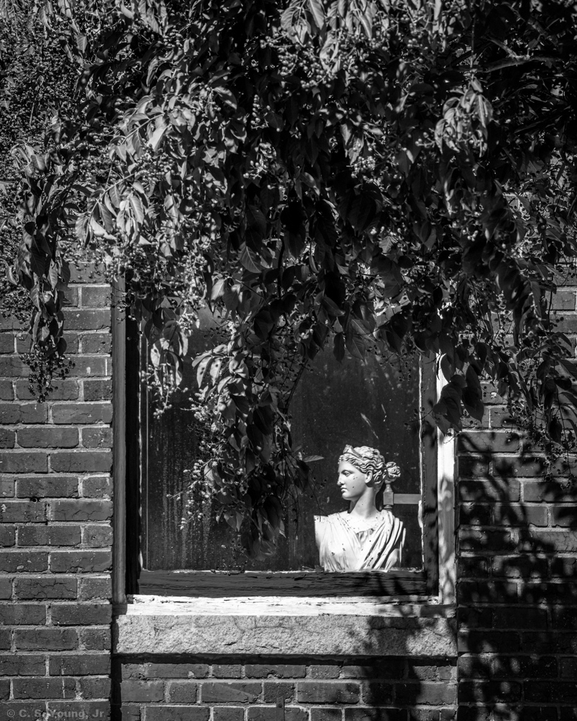 Main St. Salisbury Vignette