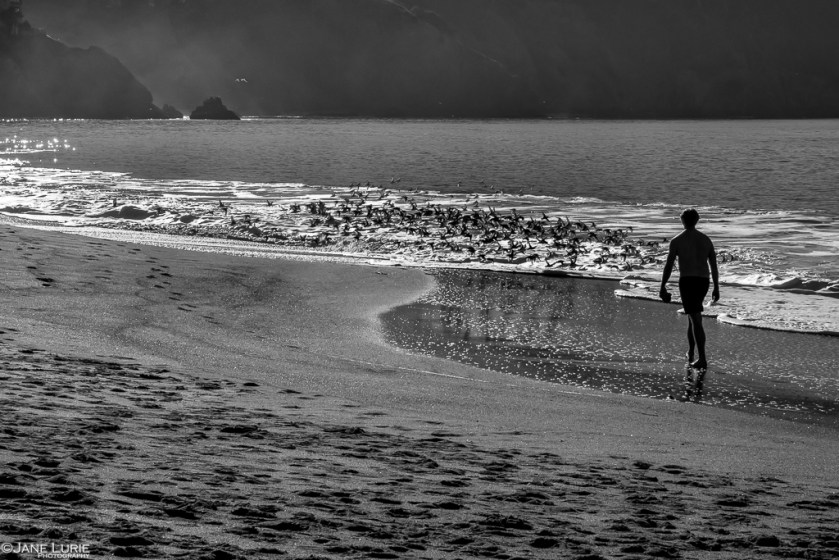 Jane Lurie, Photography, Monochromia, Black and White, San Francisco