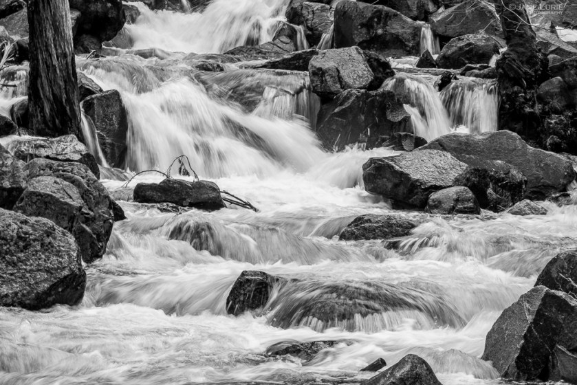 Yosemite, National Park, Photography, Black and White