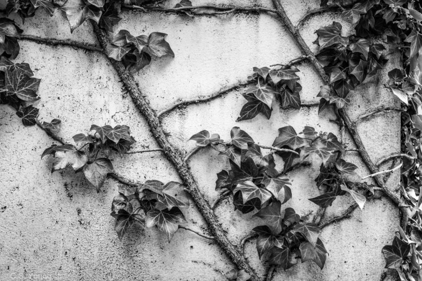 Ófeigur Garden Terrace Composition 1