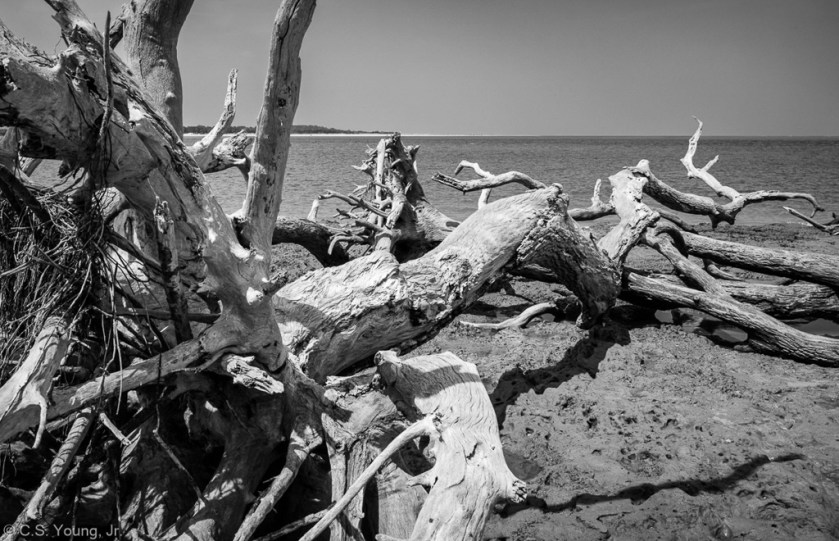 Boneyard Beach Composition 1