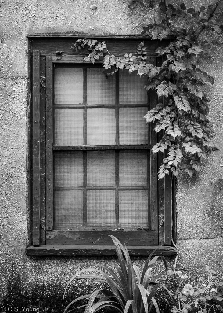 Spanish St Vignette