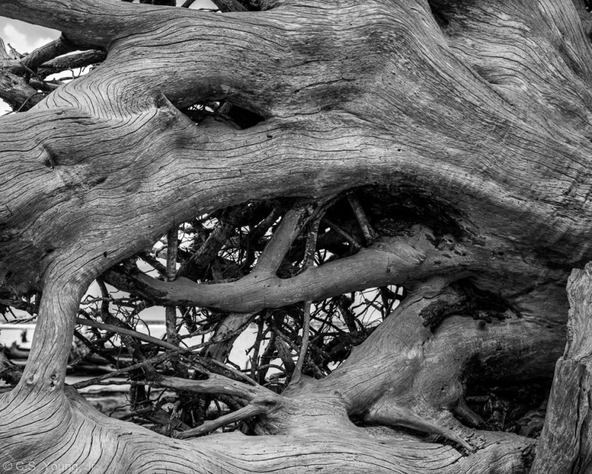 Boneyard Beach Composition 4